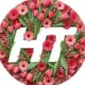 Телеканал НТ | Новгородская область