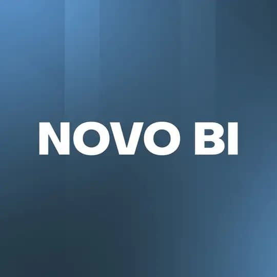 Novo BI | IT вендор