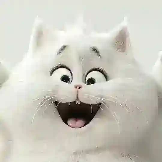 ОБОИ ДЛЯ ТЕЛЕФОНА