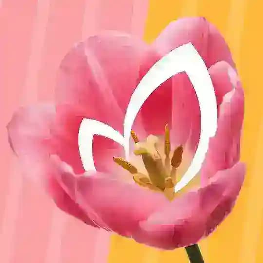 ОКЕЙ