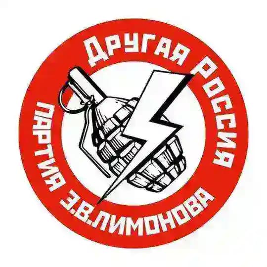 Нацболы Йошкар-Олы