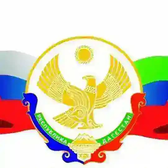 Председатель комиссии Общественной палаты РД, член президиума Совета старейшин при главе РД