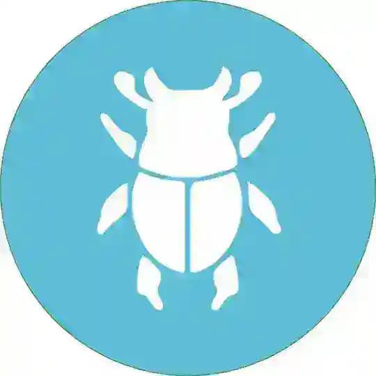 Sexy Beetle