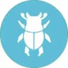 Sexy Beetle