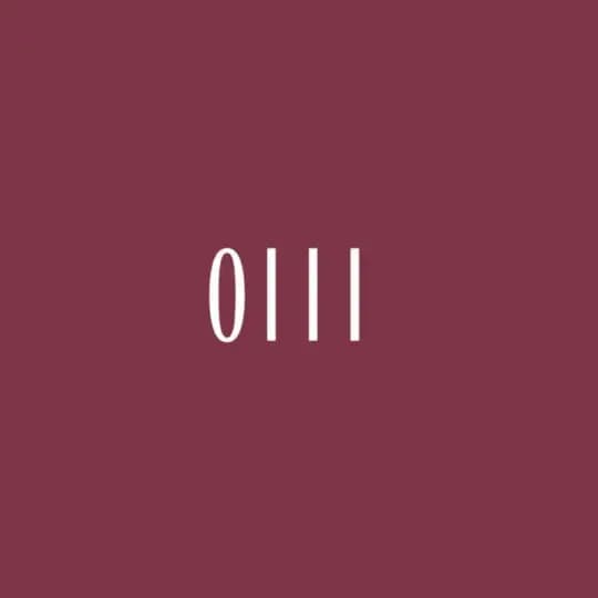 Опера №3 • цветы в Перми