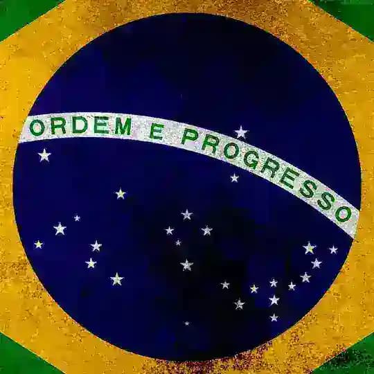 Operação Vira Brasil Profile