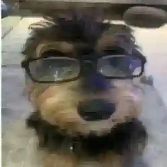полины тут нет