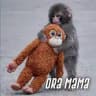 ORAMAMA