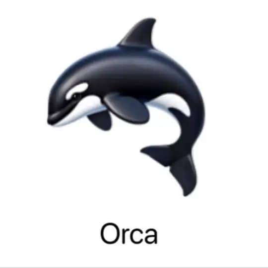 Orca (Portal)