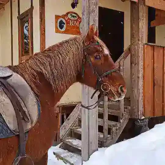 КТК "Верхом по Мещёре"