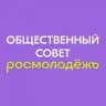 Общественный совет при Росмолодёжи