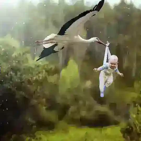 Ўтмишга саёҳат Profile