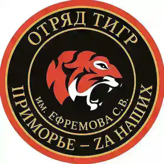 Добровольческое движение «ТИГР»