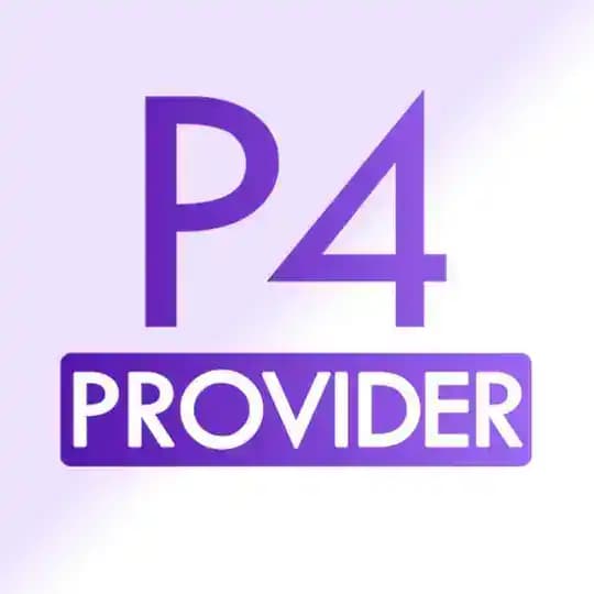P4 Provider Profile