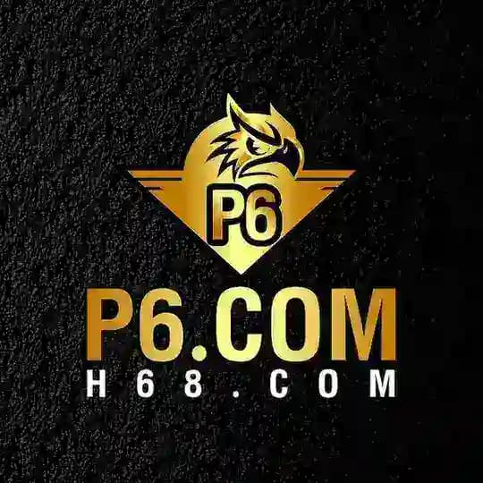 P6-VIP**