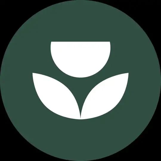 Pack Flowers-сеть студий цветов.