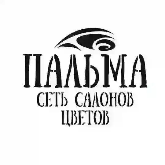 PALMASHOP
