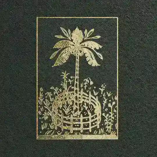 Пальма в северном саду 🌴