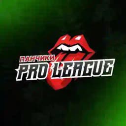 ПАНЧИКИ PRO LEAGUE 🕷 Profile