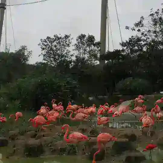 pavé archive Profile