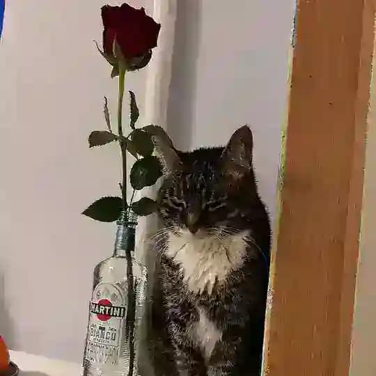 Отдохни с Беженовым