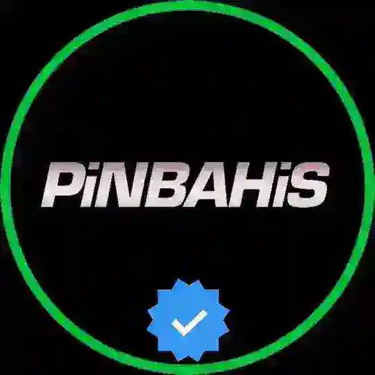 پین باهیس | pinbahis