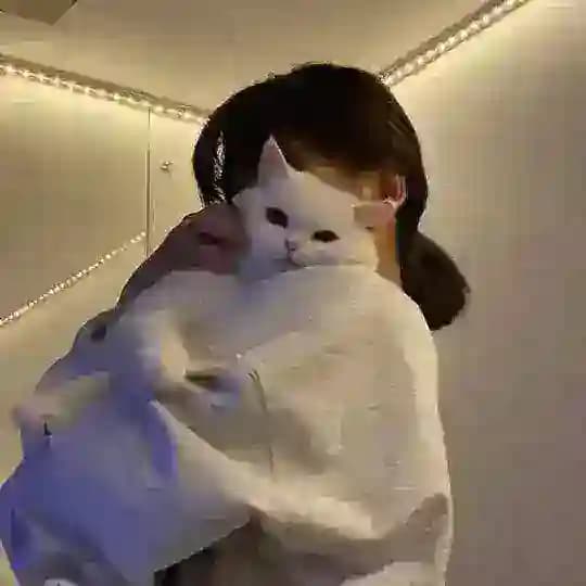 ๐ฝ๐ถ๐๐ต๐ถ