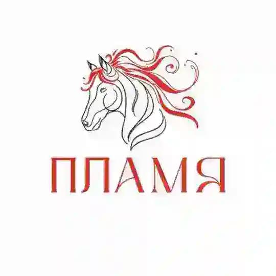 ПЛАМЯ ❤️🔥