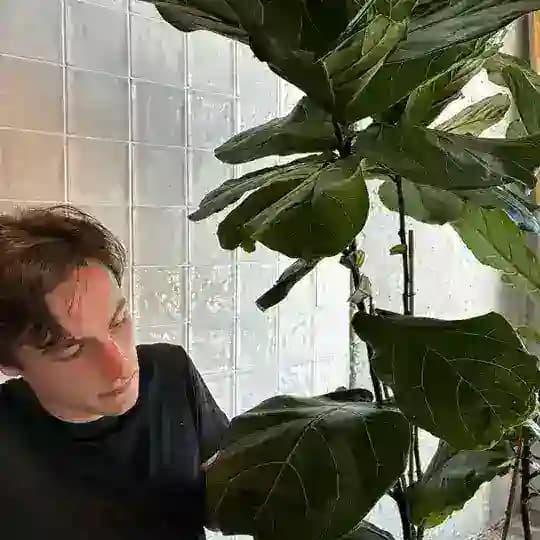Плантасутра🌿