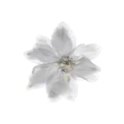 𝓅ℴ𝒸𝓀ℯ𝓉𝓏𝓁ℴℴ𝓉𝓈 ౨ৎ Profile