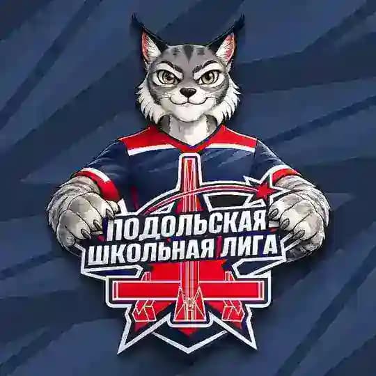 Подольская Школьная Лига