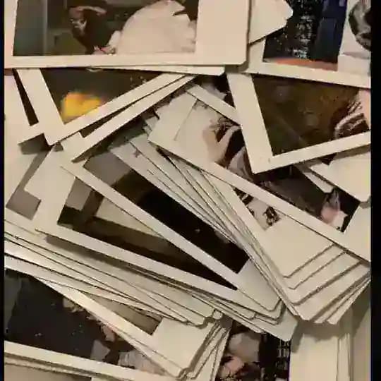 printing polars Profile