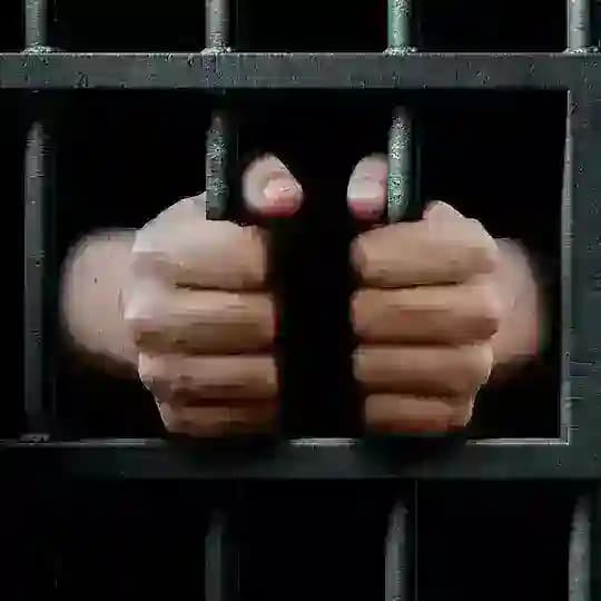 Политзек-Инфо