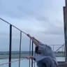 Постановщик и не только