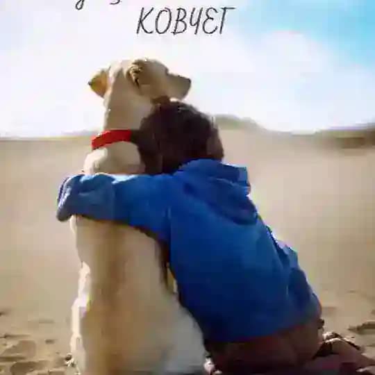 Приют Ковчег