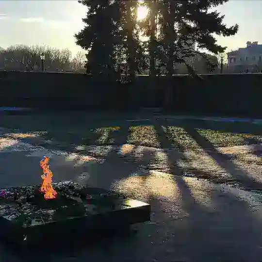 СветоЭлектроМатерия