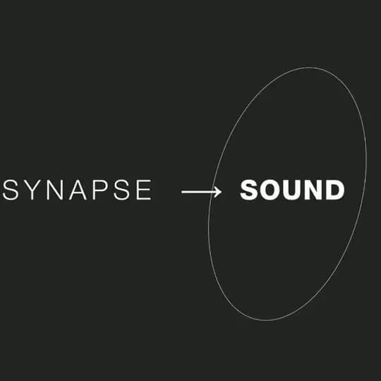 Synapse ⟶ sound