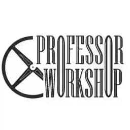 Professor workshop Profile
