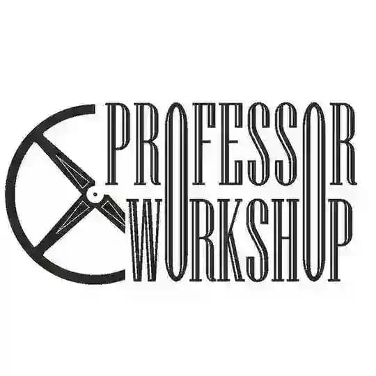 Professor workshop Profile