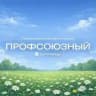 Профсоюзный