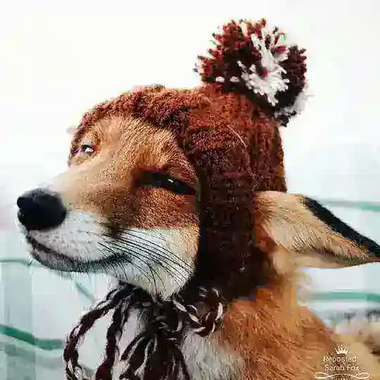 Пси-ХА-ХА-логиЯ