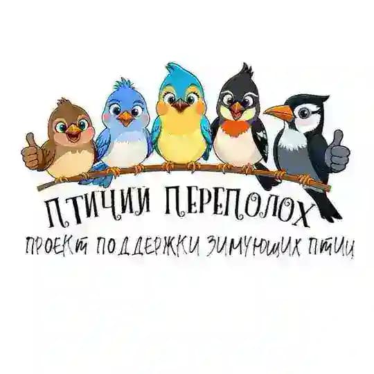 Птичий переполох