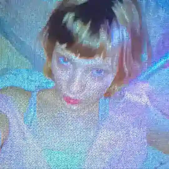 птица виновата!!