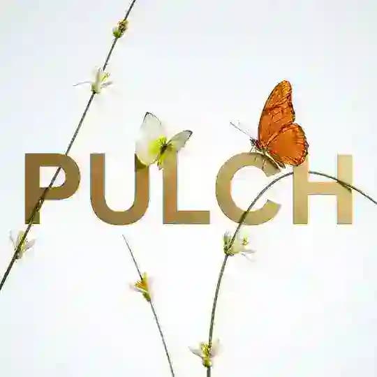 PULCH CLINIC Екатеринбург