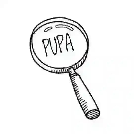 PUPA KEK