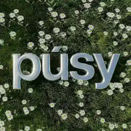 Держи руку на PÚSY