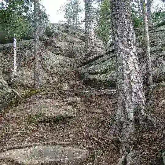 Россия 🇷🇺 в объективе