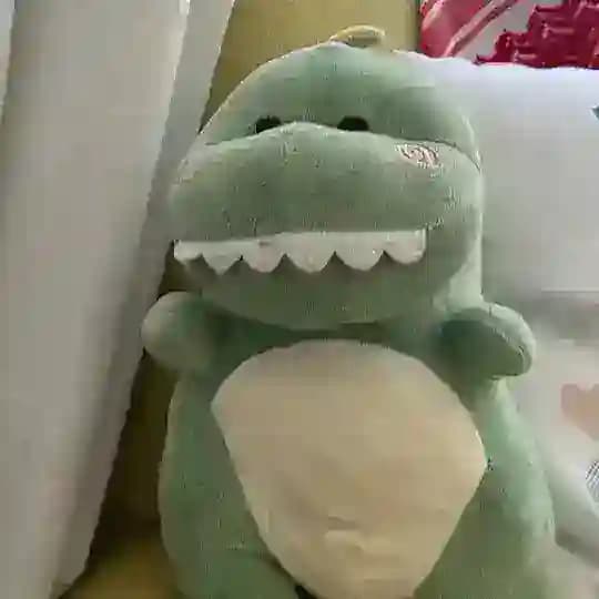 Hola putx pijera