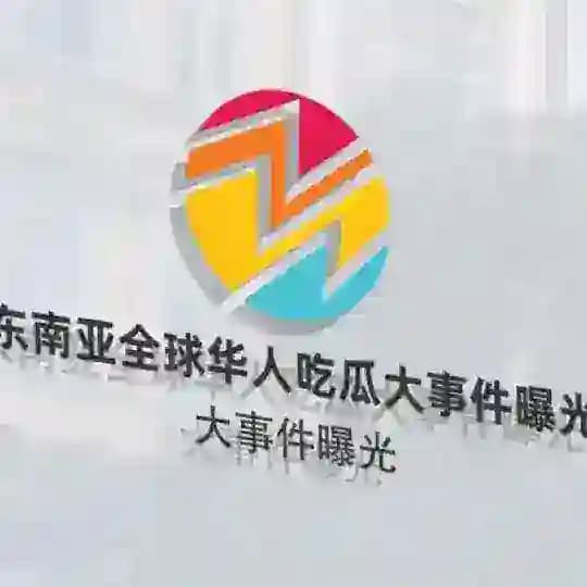 东南亚全球华人新闻大事件