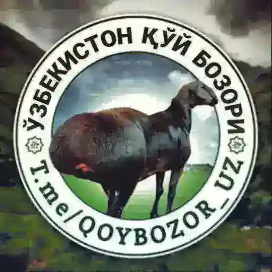 ЎЗБЕКИСТОН ҚЎЙ БОЗОРИ | Расмий канал Profile